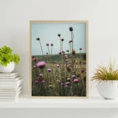 Bloom in Focus, Poster, Wall Art