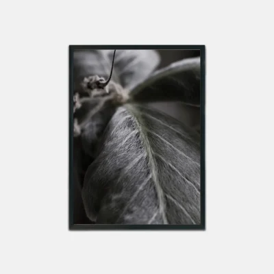 Leaf Essence, Poster, Wall Art