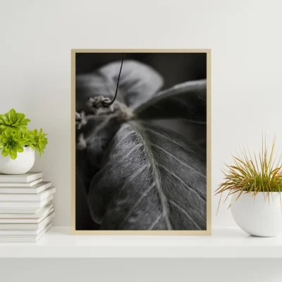 Leaf Essence, Poster, Wall Art