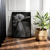 Leaf Essence, Poster, Wall Art