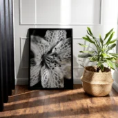 Petals in Monochrome, Poster, Wall Art