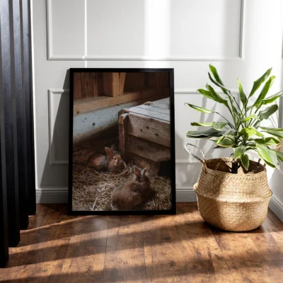 Rabbits in the Barn, Poster, Wall Art