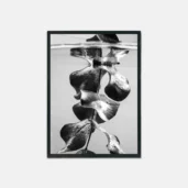 Roots of Serenity, Poster, Wall Art