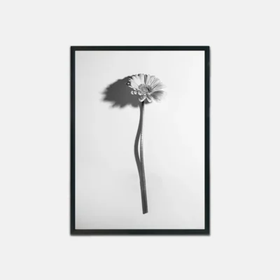 Simplicity in Bloom, Poster, Wall Art