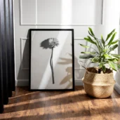 Simplicity in Bloom, Poster, Wall Art