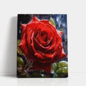Full-Bloom Red Rose with Dew paint by numbers for adults DIY painting kit