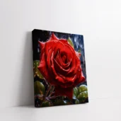 Framed Full-Bloom Red Rose with Dew paint by numbers red rose floral wall art
