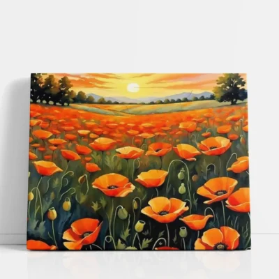 Poppy Fields at Dawn Paint By Numbers For Adults